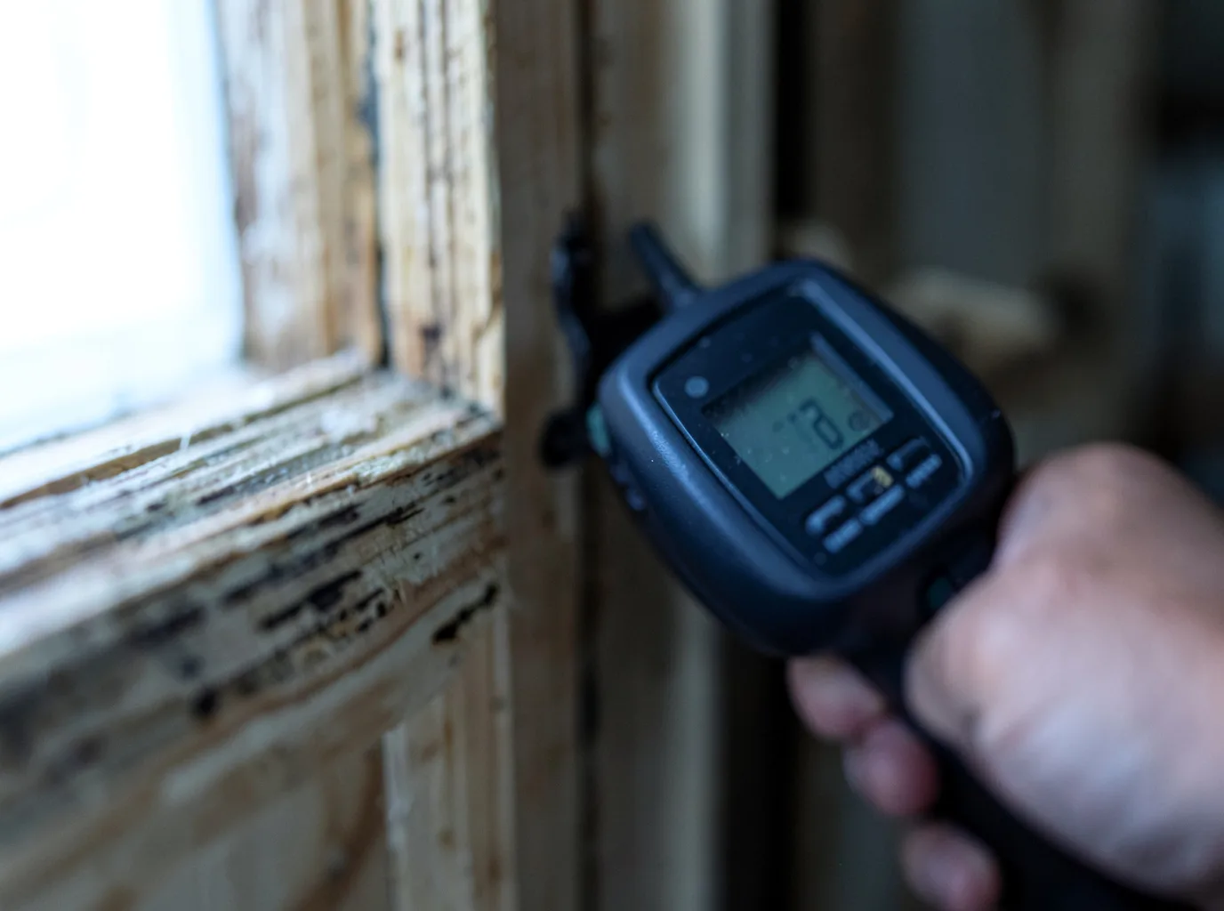 Moisture Inspection And Documentation in Loch Sheldrake, NY